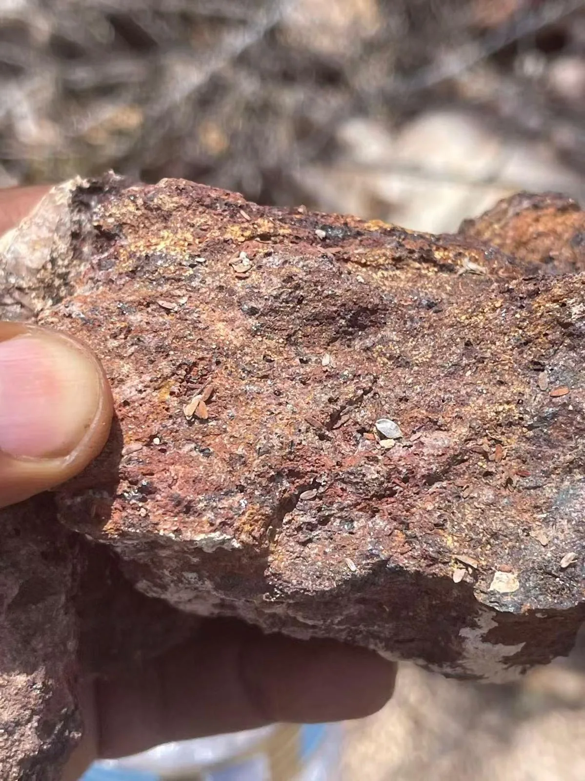 Hand sample of gold-bearing rock