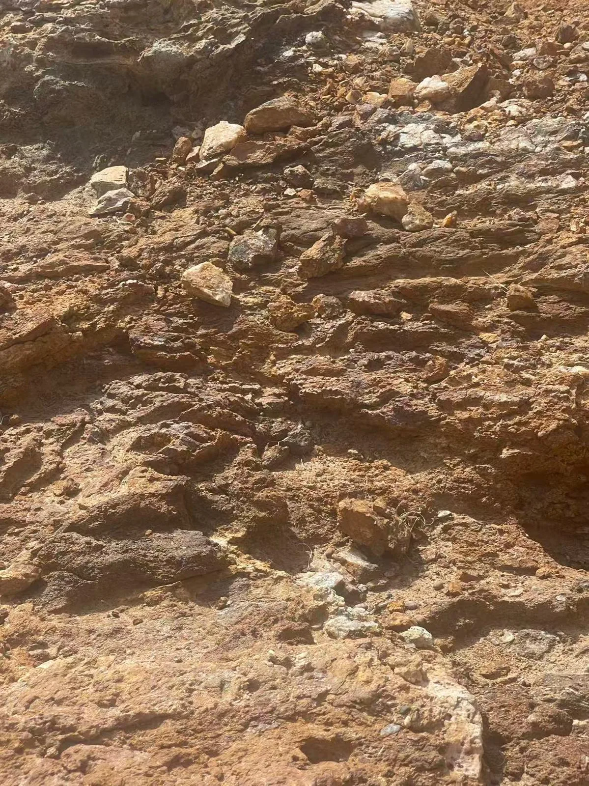 Gold-bearing outcrop documented in the field